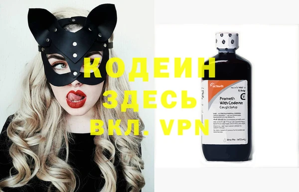дурь Алексин