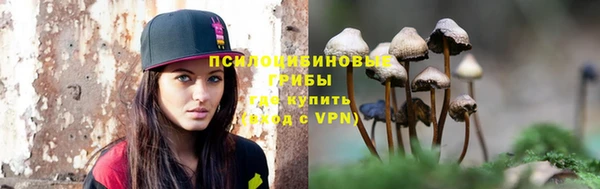 дурь Алексин