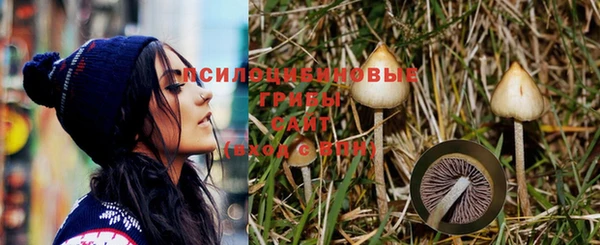 дурь Алексин