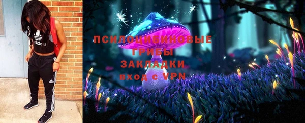 МДПВ Алзамай
