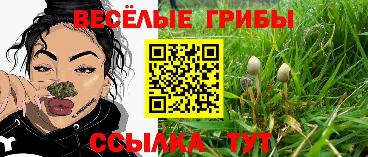 Псилоцибиновые грибы прущие грибы Лобня