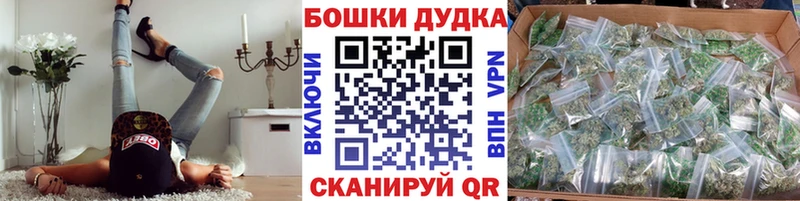 Бошки Шишки планчик  kraken зеркало  Лобня 